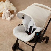 Load image into Gallery viewer, Plumeti - Car Seat Liner/Footmuff