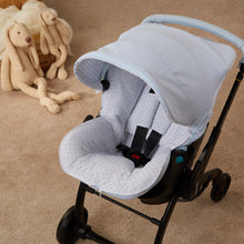 Load image into Gallery viewer, Plumeti - Car Seat Liner/Footmuff